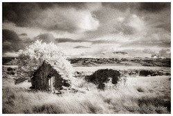 Ruined Cottage, Mt Ross Station, Otago